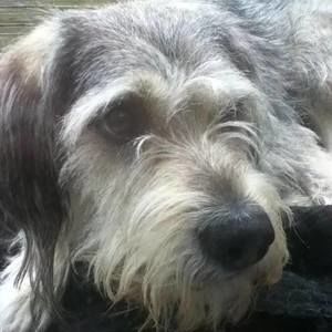 Meet your Posher, Andy